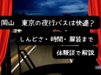 岡山〜東京の夜行バスの車内イメージ（就寝時はカーテンで真っ暗になる様子）