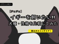 ジョジョ イギー 犬種 スターダストクルセイダース ボストンテリア