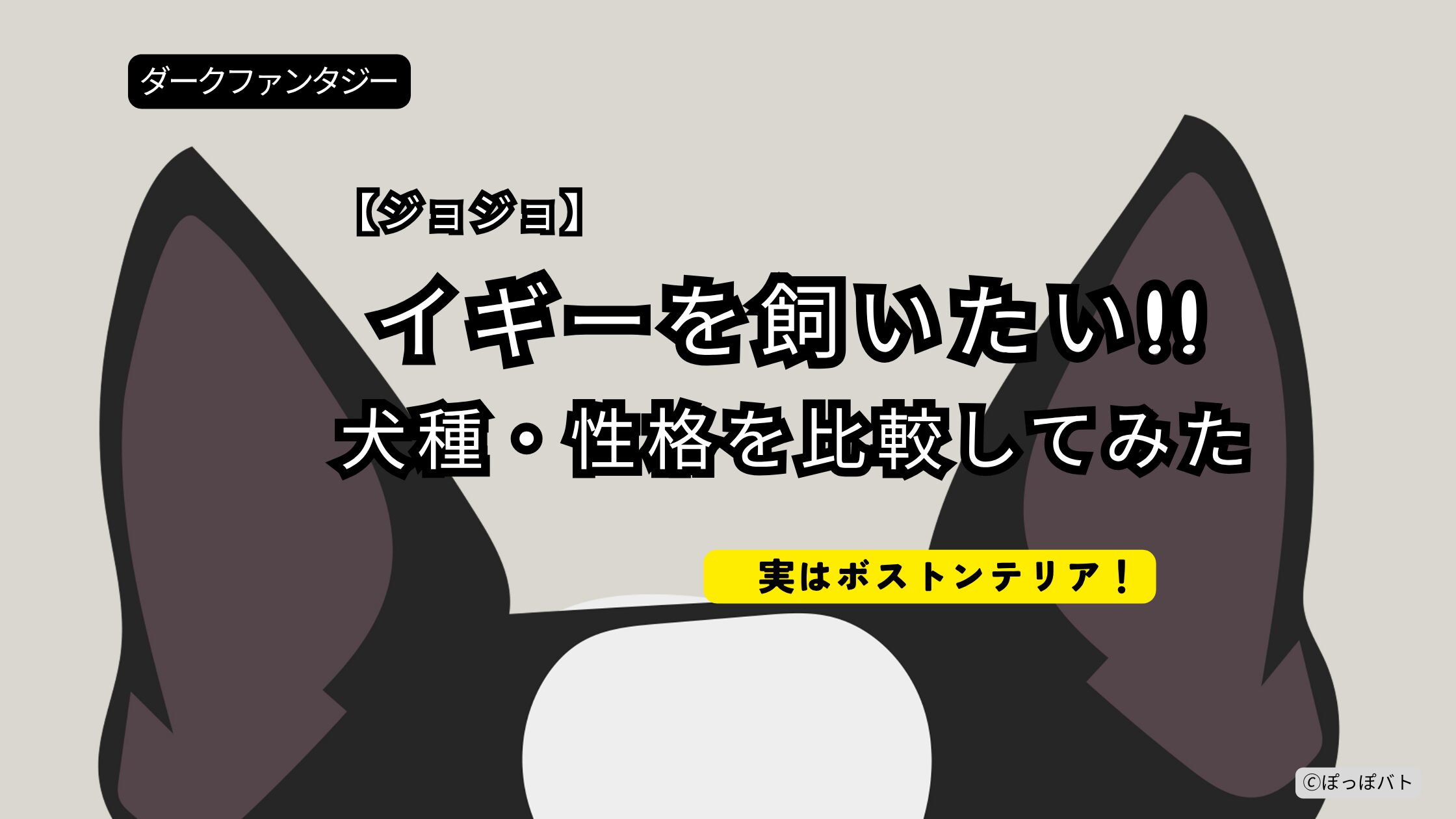 ジョジョ イギー 犬種 スターダストクルセイダース ボストンテリア