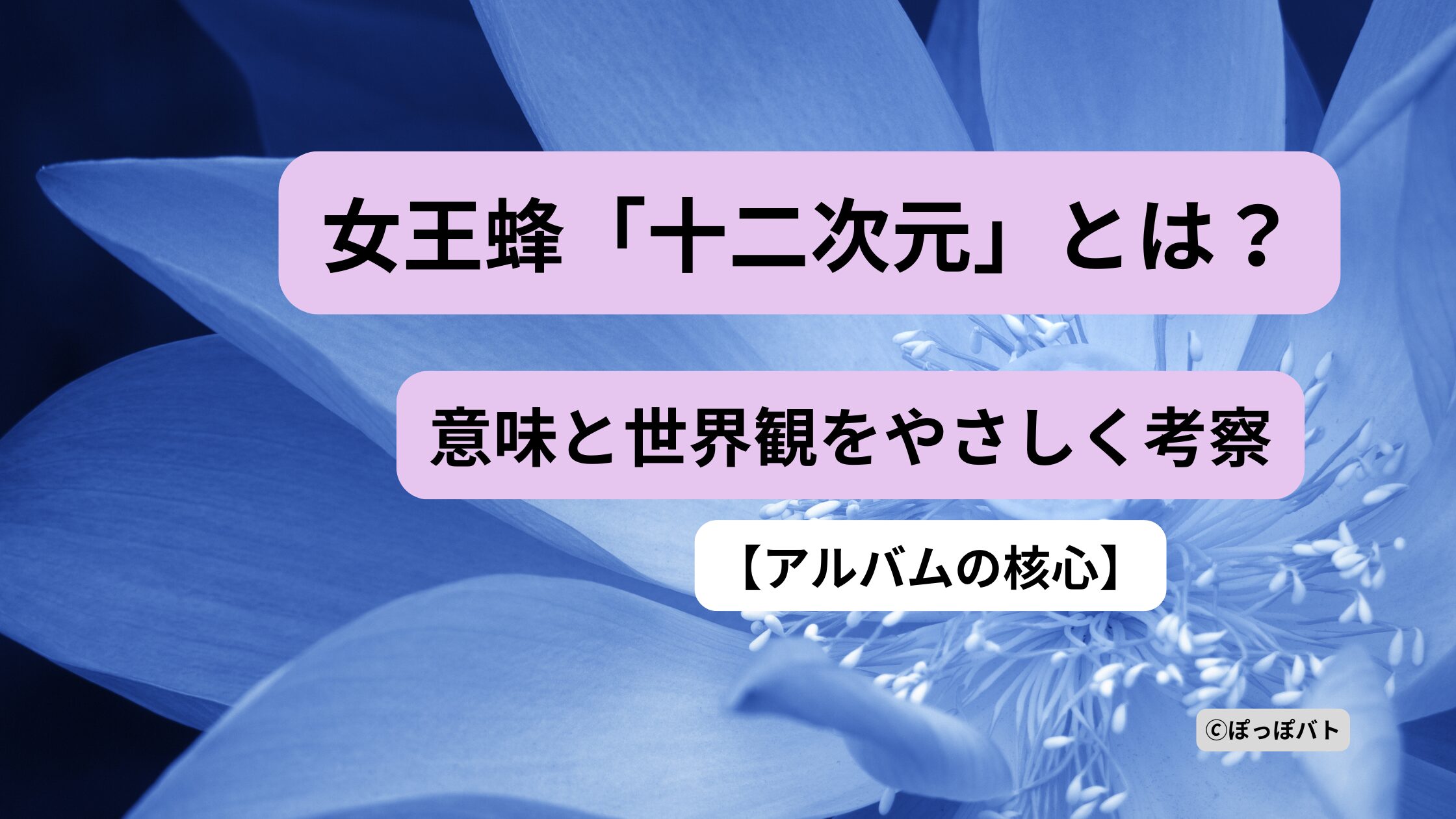 女王蜂 十二次元の意味と世界観を表現したイメージ画像