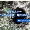 おろちんゆー【ゲジゲジ洞窟】場所はどこ？