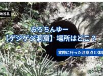 おろちんゆー【ゲジゲジ洞窟】場所はどこ？