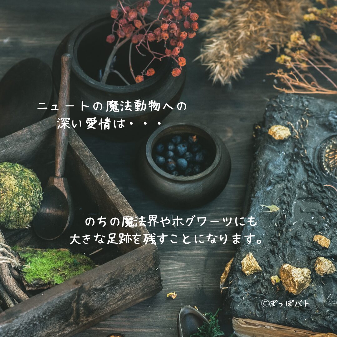 ファンタビ・ダンブルドアの秘密紹介記事の挿絵（当メディア・オリジナル）