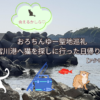 おろちんゆー聖地巡礼で訪れた宮川港と猫探しの日帰り旅