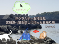 おろちんゆー聖地巡礼で訪れた宮川港と猫探しの日帰り旅