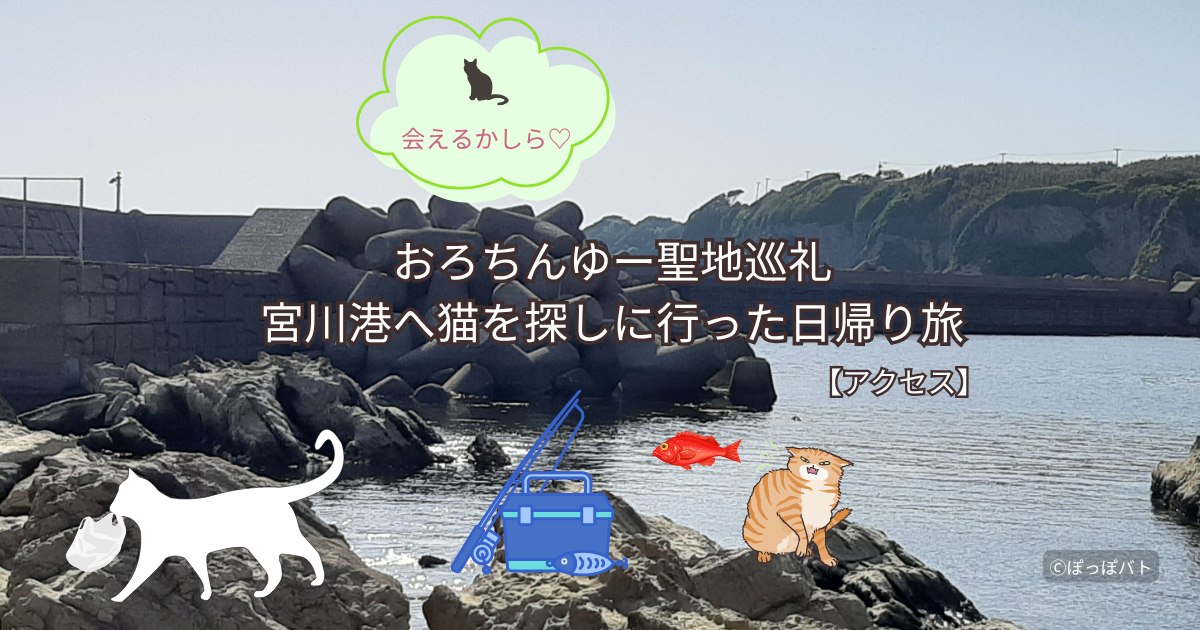 おろちんゆー聖地巡礼で訪れた宮川港と猫探しの日帰り旅