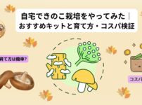 自宅でキノコ栽培をやってみた記事（アイキャッチ）