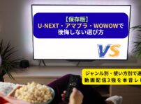人気VOD３社を比較する記事イメージ