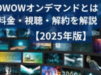 WOWOWオンデマンドの料金プラン、視聴・解約方法の紹介記事のイメージ
