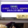 U-NEXT・Amazonプライム・WOWOWを実際に利用してわかった特徴や選び方を紹介するアイキャッチ画像