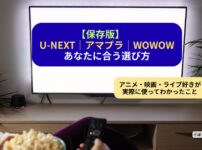 U-NEXT・Amazonプライム・WOWOWを実際に利用してわかった特徴や選び方を紹介するアイキャッチ画像