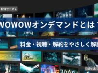 WOWOWオンデマンドとは？料金・視聴・解約を優しく解説