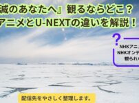 不滅のあなたへ視聴方法