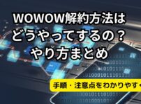 wowow解約記事のアイキャッチ画像（当メメディアオリジナル）