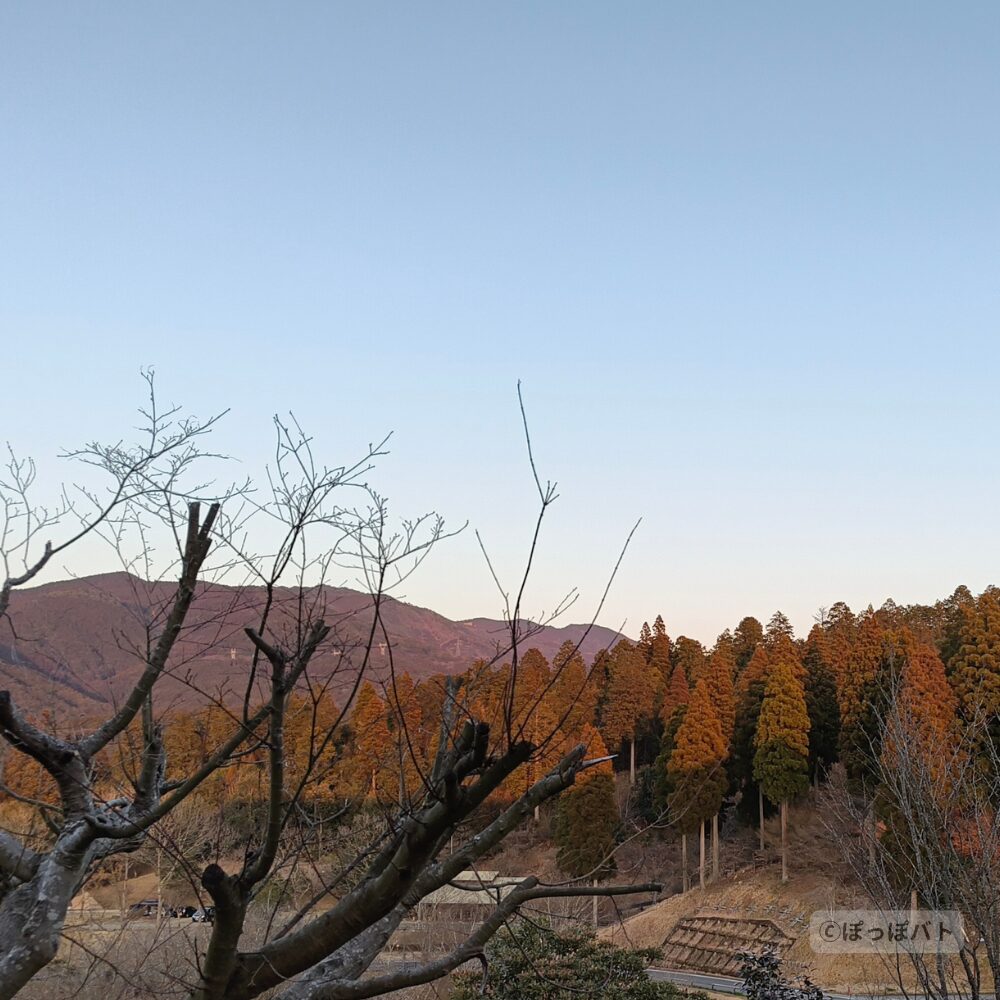 熊本県人吉市の夕暮れの山並みと茜色に染まる杉林の風景