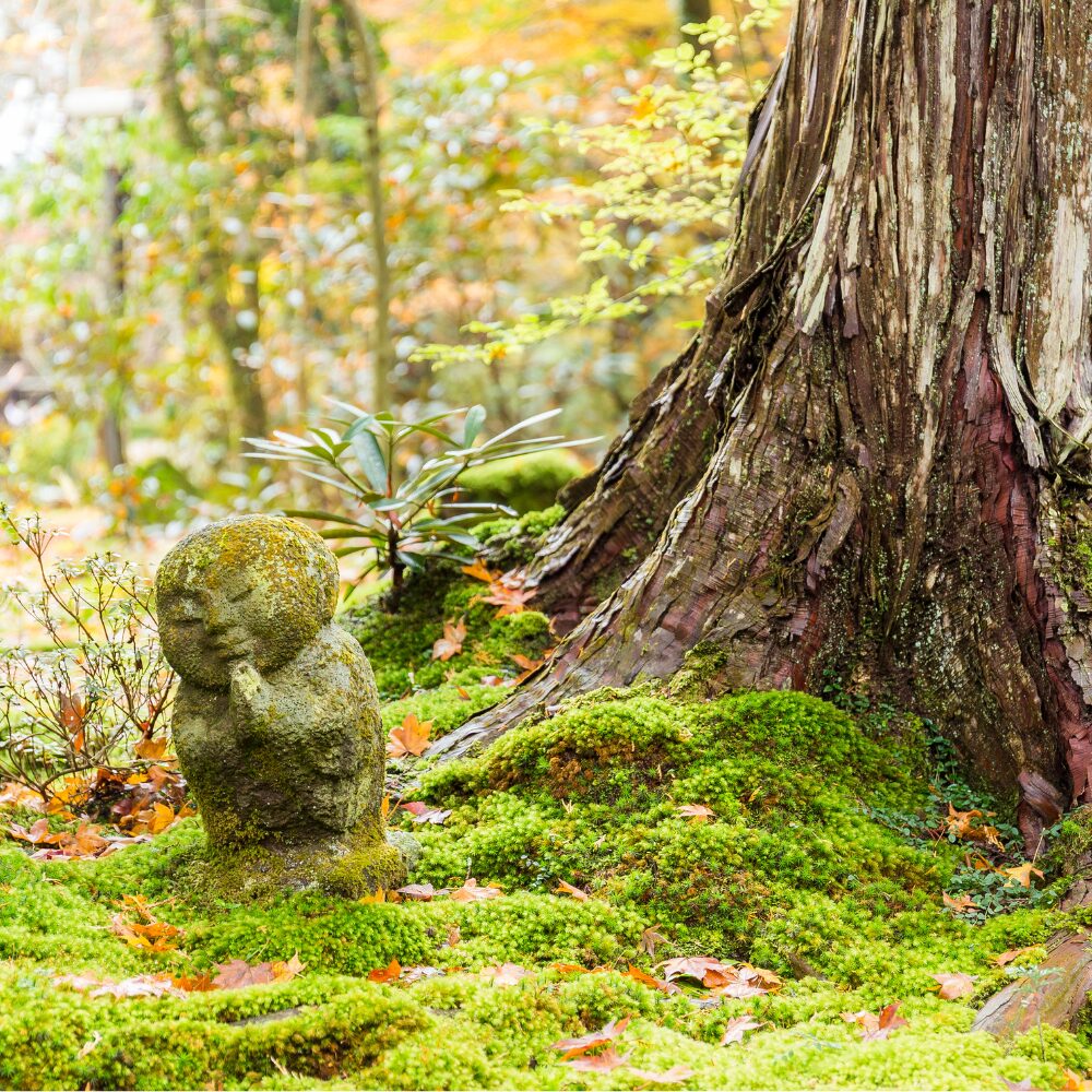 A Quiet Story About Kindness and Yokaiイメージ画像
