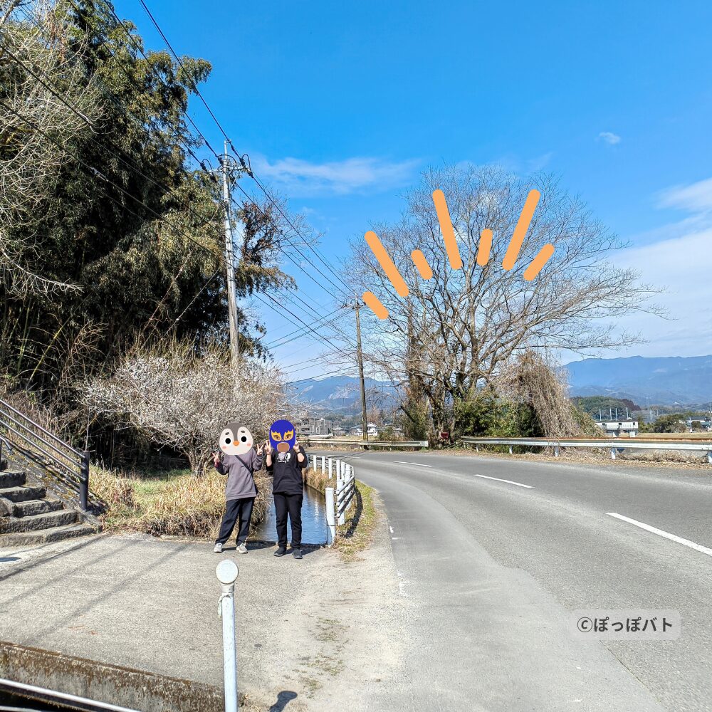 夏目友人帳 七辻屋 聖地巡礼 人吉