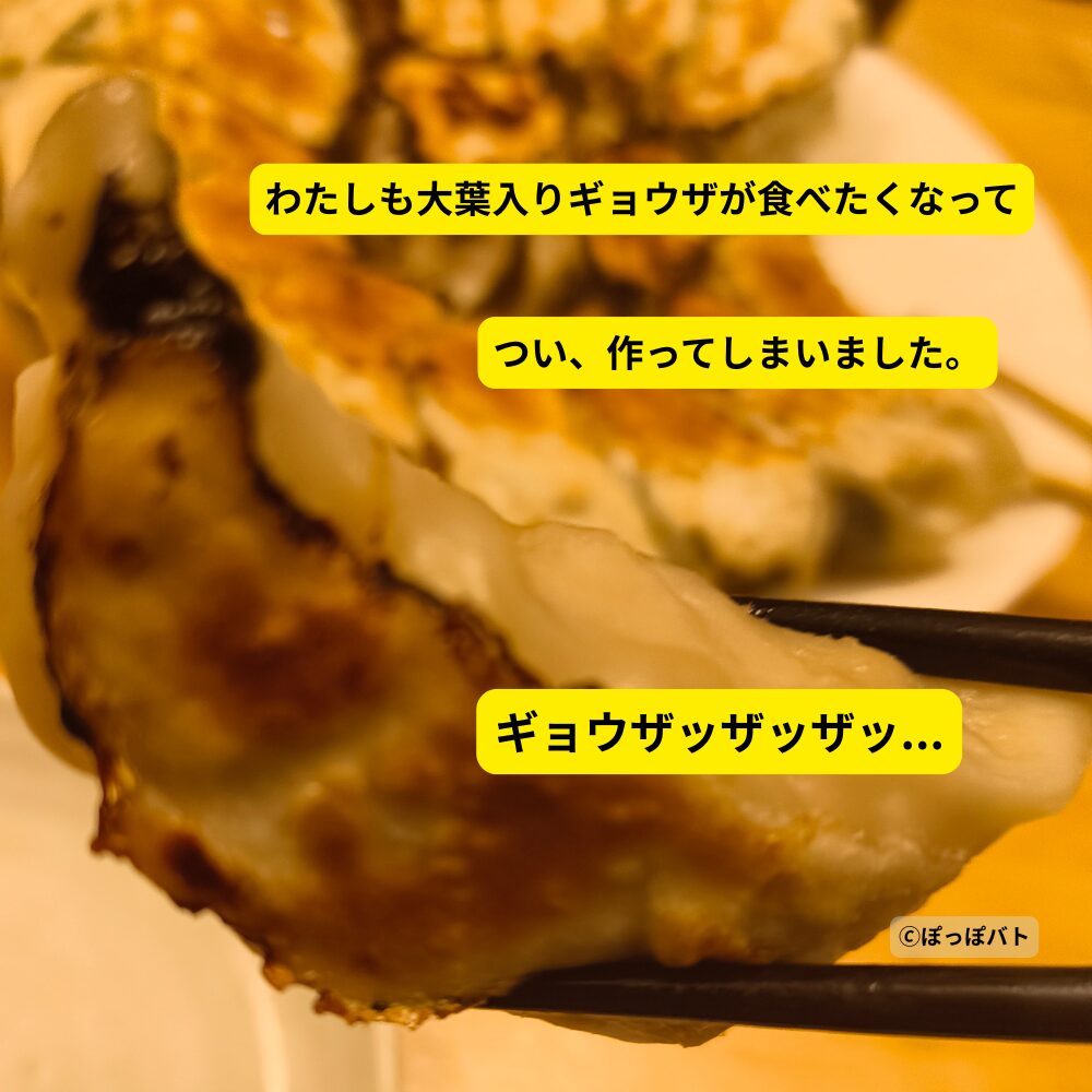 大葉入り餃子を箸で持ち上げた焼き餃子のアップ画像