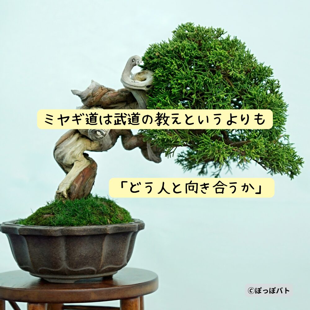 ミヤギ道は人との向き合い方という考えを表した盆栽の画像