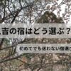 人吉の梅の見頃の風景と宿選びをテーマにしたアイキャッチ画像