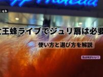 女王蜂ライブでジュリ扇は必要？初心者向けに使い方と選び方を解説するアイキャッチ画像