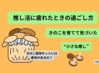 推し活に疲れたときの過ごし方として、きのこ栽培キットで癒されるイメージ画像