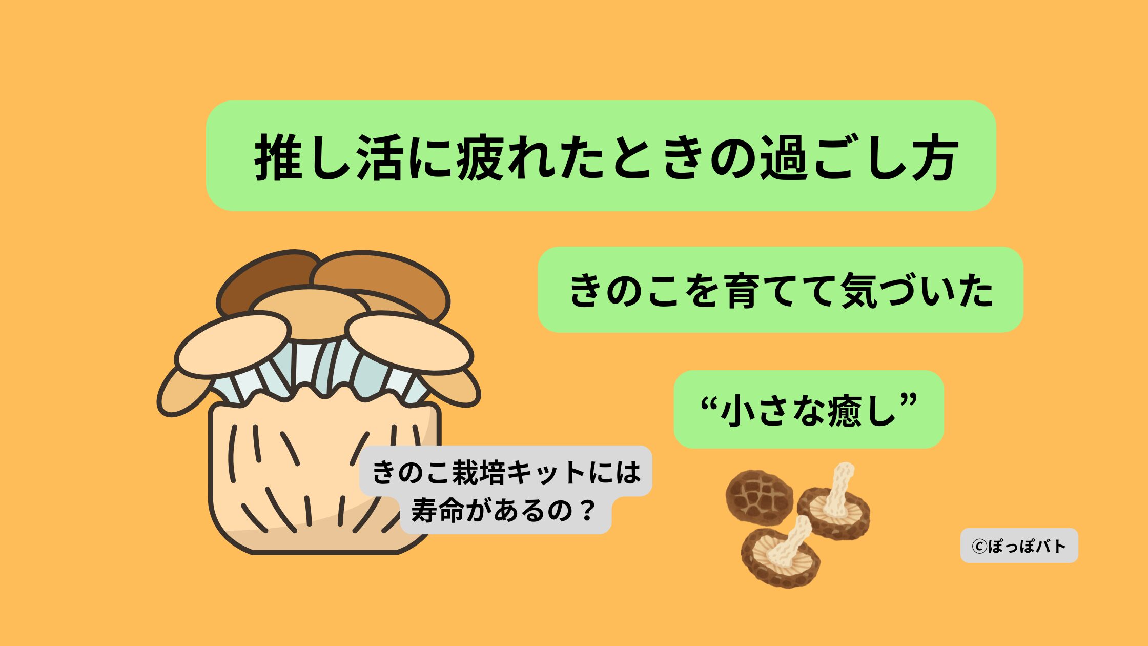 推し活に疲れたときの過ごし方として、きのこ栽培キットで癒されるイメージ画像