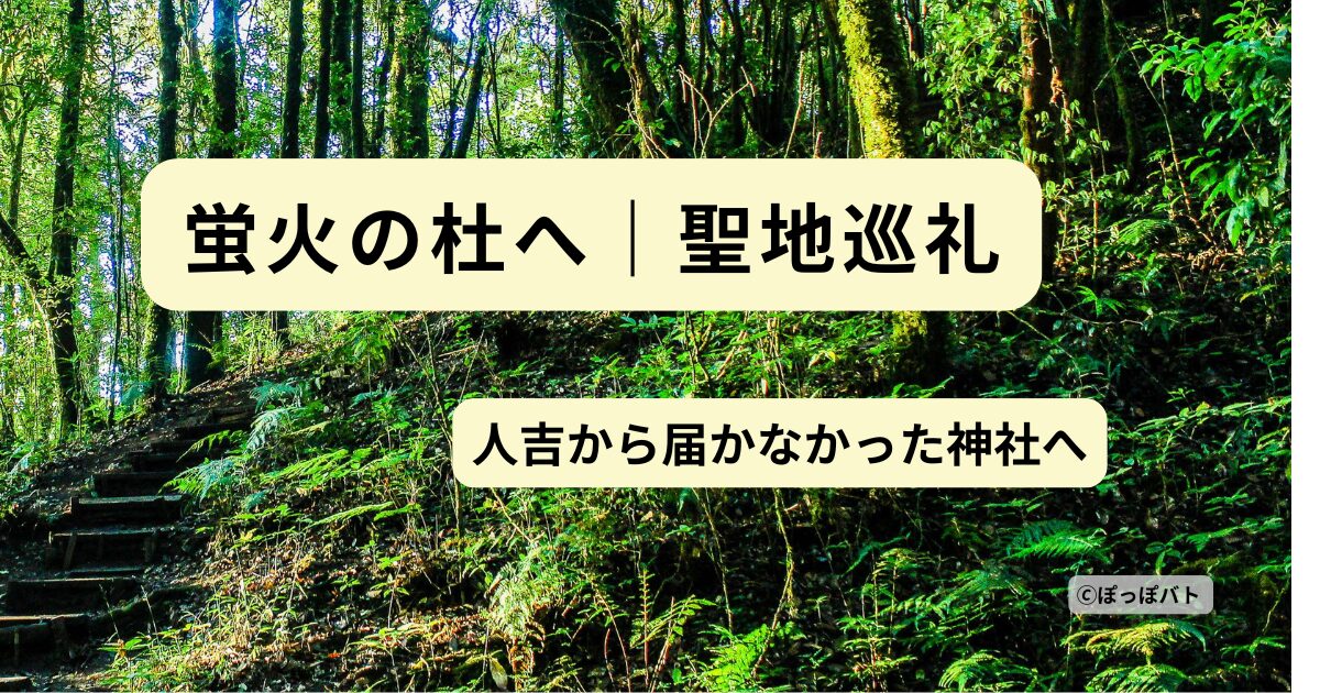 蛍火の杜へ 聖地巡礼 上色見熊野座神社の森の参道 人吉から行けなかったルートのイメージ