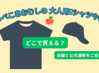 はらぺこあおむしの大人用Tシャツや帽子を店舗と通販で探す記事のアイキャッチ