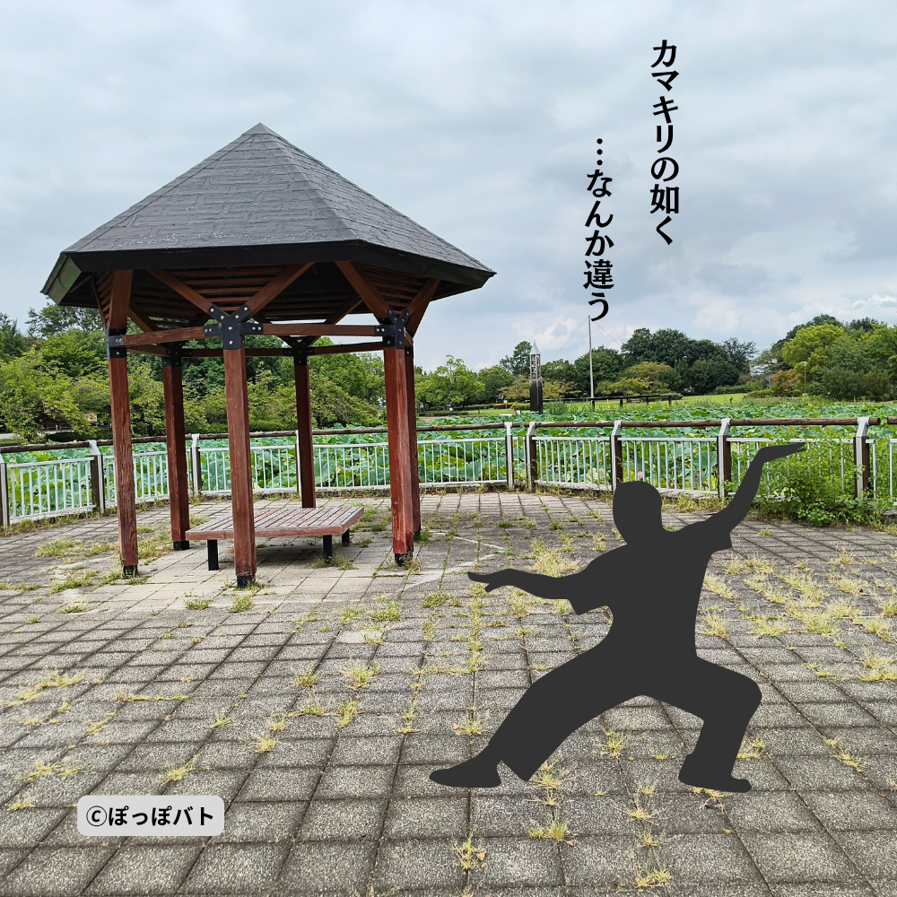 平成の森公園の東屋と『おいしい給食』をイメージしたシルエット挿絵