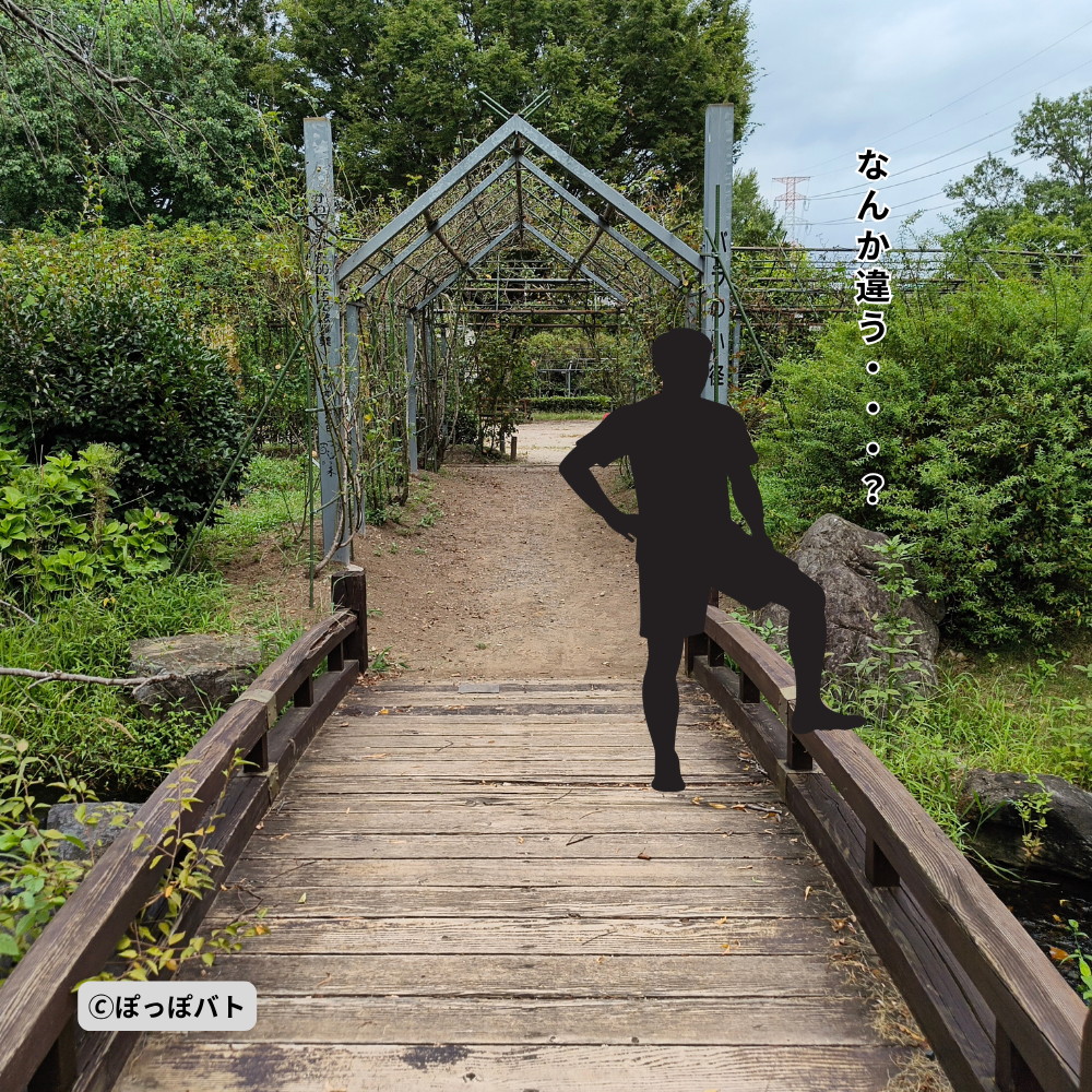 平成の森公園の橋と『おいしい給食』の写生シーンをイメージした挿絵