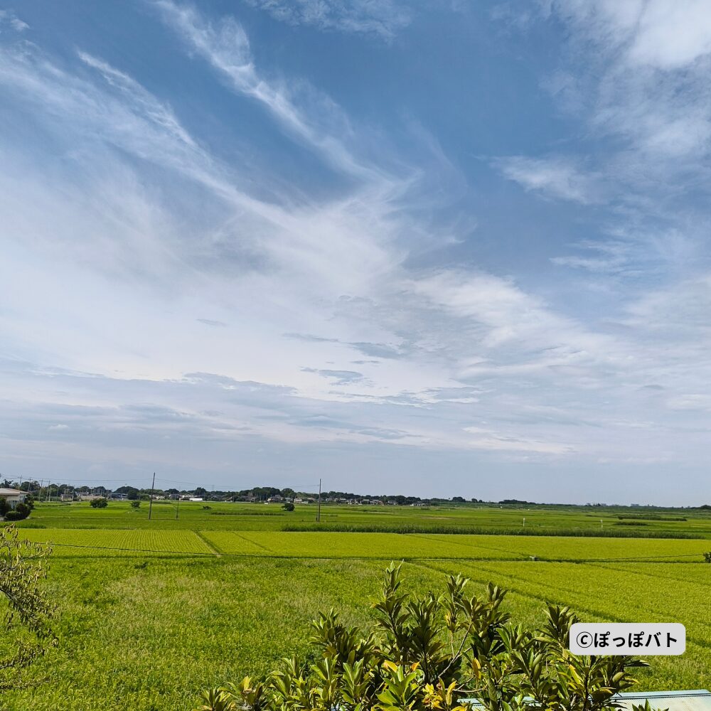 旧小見野小学校周辺に広がる埼玉県川島町の田園風景