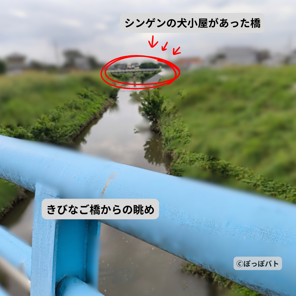 きびなご橋から見たシンゲンの犬小屋があった白い橋