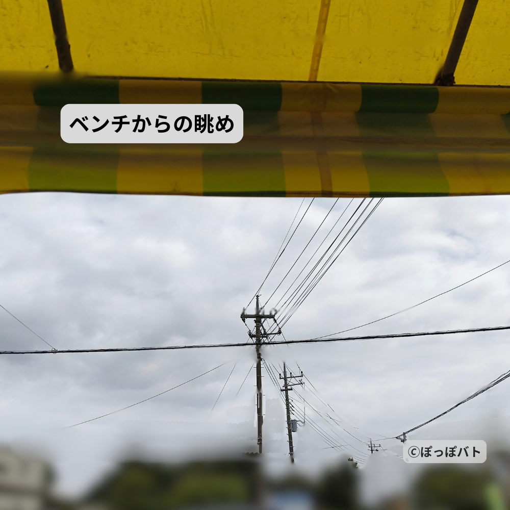 高橋商店のベンチに座ったときの店先からの眺め